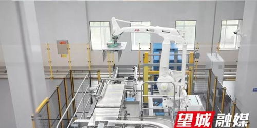 澳優(yōu)長沙智慧工廠最新動態(tài) 打造智能化乳業(yè)新標(biāo)桿